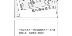 鸵鸟女孩是什么意思 现代年轻人逃避心态的新标签