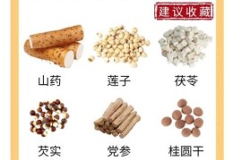 冬季养胃食谱大全 这些暖胃菜帮你告别胃寒