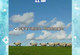 拍案叫绝的意思你知道吗？常用在哪里才对？