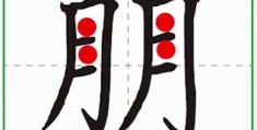 朋的笔顺学起来：一步步教你规范书写。
