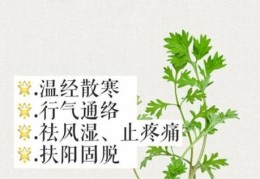 啥是期期艾艾的意思？这几个场景最常用！