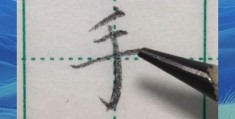 手字笔顺正确示范图解，新手入门一看就懂！