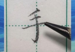 手字笔顺正确示范图解，新手入门一看就懂！