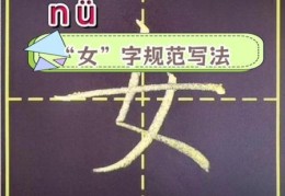 妻的笔顺有几画？快速掌握正确写法不再错。