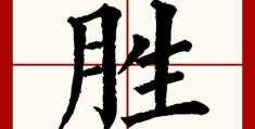 胜的笔顺正确写法，提高汉字书写速度。