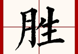 胜的笔顺正确写法，提高汉字书写速度。