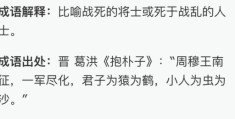 含沙射影是什么动物？成语解析帮你轻松理解！