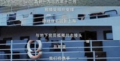 T22是什么意思 揭秘这个神秘代号的真实含义