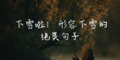 你那里下雪了吗是什么意思 这句问候为何如此动人