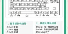excel表格制作教程 新手入门必学的5个基础操作