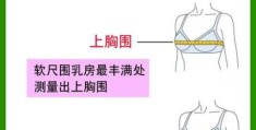 bwh是哪三围 教你正确测量胸腰臀围