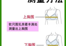 bwh是哪三围 教你正确测量胸腰臀围