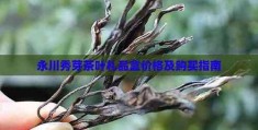 武魂蝶花在哪里买正品购买渠道与价格指南