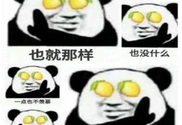 柠檬精是什么意思 网友都在说的梗你懂吗
