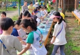 qq农场在哪里打开 手机电脑登录方法全解析