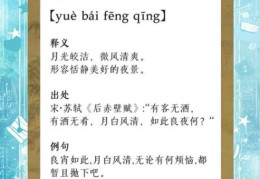 月白风清的意思怎么理解？读懂它感受诗意美！