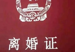 净身出户是什么意思离婚能一分钱不要吗