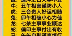 数黑论黄是什么生肖？老黄历告诉你答案！