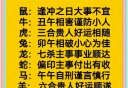 数黑论黄是什么生肖？老黄历告诉你答案！