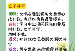 全面开荒打一成语答案，你知道是哪个成语吗？