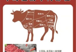 血蹄公牛和普通牛的区别在哪里