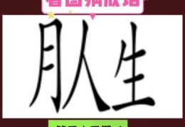 武断打一成语的谜面，你猜对了吗？