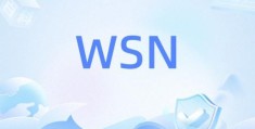 wsn是什么梗 揭秘网络流行语wsn的真实含义