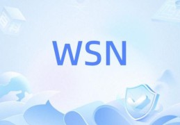 wsn是什么梗 揭秘网络流行语wsn的真实含义