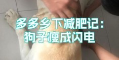 闪电定点瘦安全吗？专家解答你的所有疑问