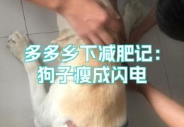 闪电定点瘦安全吗？专家解答你的所有疑问