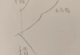 快速学会“手的笔画”的技巧，简单又实用！