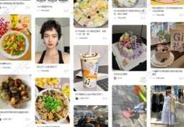 discuz模板下载 精选免费模板一键安装教程