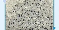 注水大米怎么分辨专家教你识别掺假大米技巧