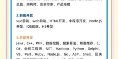 it男什么意思？和程序员是一个概念吗？