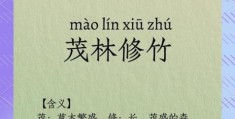 深入解读茂林修竹的意思，感受古人的情怀！