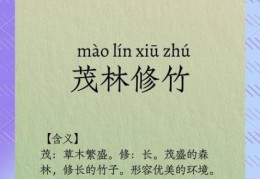 深入解读茂林修竹的意思，感受古人的情怀！
