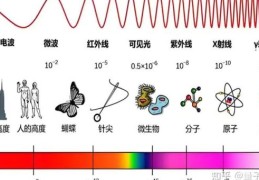 电波系是什么意思原来是指这类人你知道吗