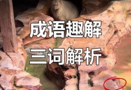 双目如潭的意思是什么？原来是形容这类人！