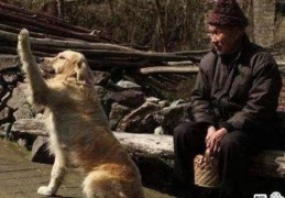 知道背着唢呐坐飞机打一俗语吗？轻松理解它意思！