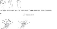 hopedot使用指南 新手快速上手指南教程
