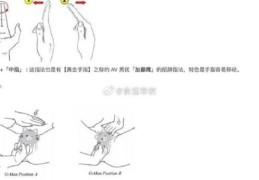 hopedot使用指南 新手快速上手指南教程