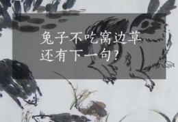 猜一猜：兔子不吃窝边草打一成语，你能猜对吗？