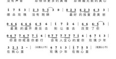玫瑰少年是什么意思这个词是怎么来的