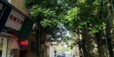 隔路是什么意思 隔路和不合群有什么区别