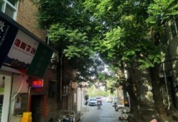 隔路是什么意思 隔路和不合群有什么区别