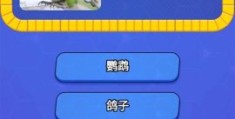 风华正茂打一最佳动物，猜猜看你会想到哪个它？