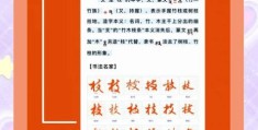 花枝招展的拼音是什么意思？一起来了解这个词！