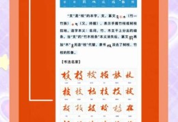 花枝招展的拼音是什么意思？一起来了解这个词！