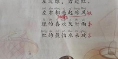 猜字谜！“左边绿右边红左右相遇起凉风打一字”答案是它！
