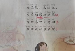 猜字谜！“左边绿右边红左右相遇起凉风打一字”答案是它！